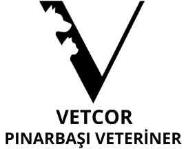 ortopedivet